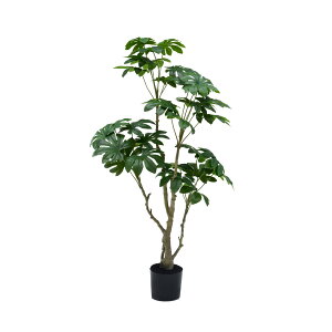 ϗtA tFCN 144cm tBJXEAeBV} tFCNO[ lHϗtA ^ h  ze CeA A  j   