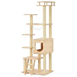 Lbg^[ FD  u  Lbg^[ ؐ R ܂Ƃ{[ Lxbh SS ybgpi