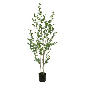 ϗtA tFCN 180cm [J ̖ tFCNO[ lHϗtA ^ h  ze CeA A  j   