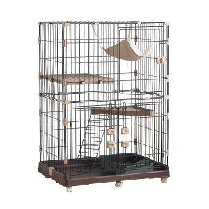 y2025NVdlzL P[W [^ LbgP[W 2i 1i2i\ LX^[t LbgnEX yuEz