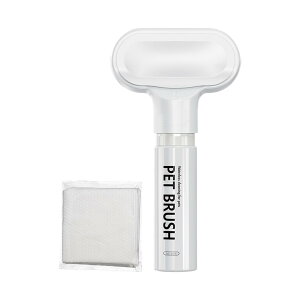 hbOV[uVAVv[XNo[AtH[~O\[vfBXyT[A20x11x4cm|[^uA_炩VR̖тƁAOI