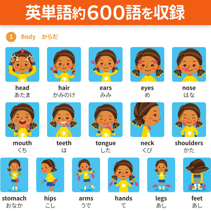 楽天市場】英単語フラッシュ DVD英語辞典 FOR KIDS ENGLISH Singsing 