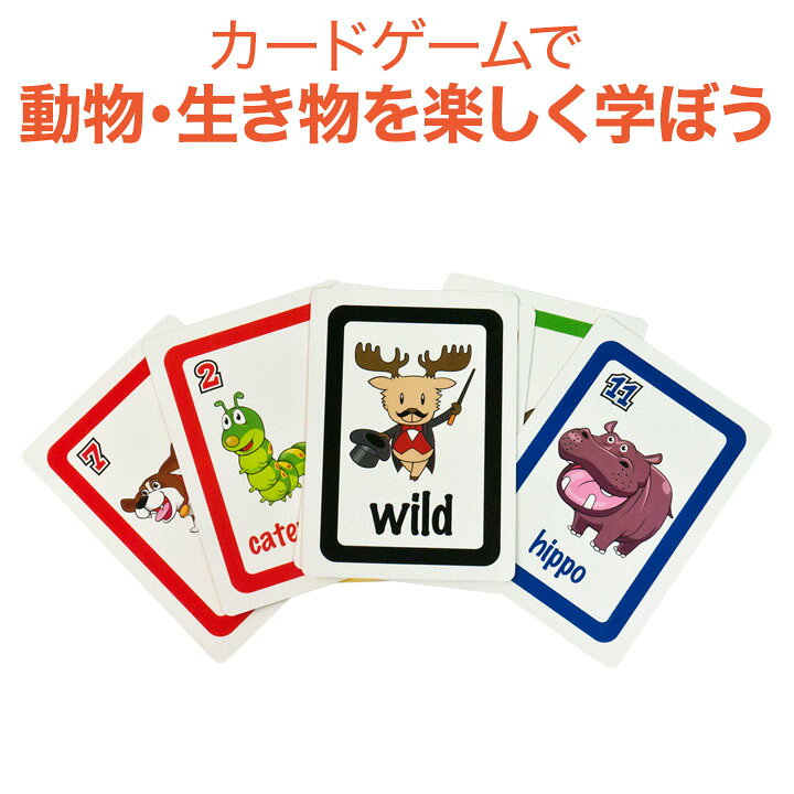 楽天市場 英語教材 Bigger Than Card Game ビッガーザンカードゲーム 動物単語 英単語 カードゲーム 送料無料 家庭学習 自宅学習 家庭 自宅 学習 英語伝 Eigoden