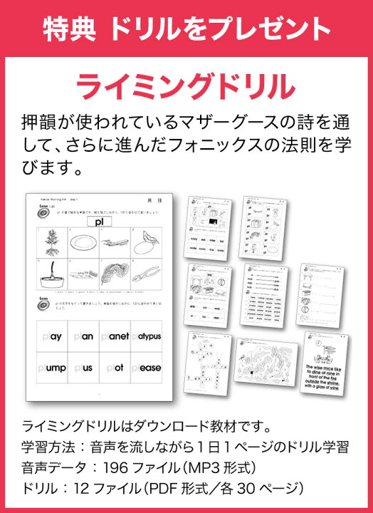 楽天市場】パルキッズ プリスクーラー YEAR2 クーポン付き【児童英語 