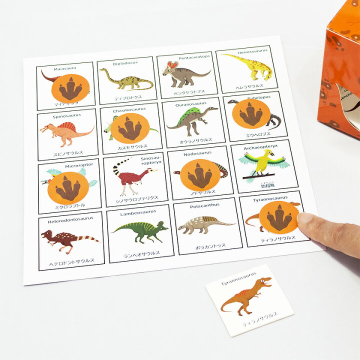 楽天市場 恐竜 おもちゃ 図鑑 ビンゴ Dinosaur Bingo 正規販売店 恐竜の名前 ゲーム カード カードゲーム 英語 日本語 カタカナ 学習 知育玩具 幼児 幼稚園 保育園 小学生 子供 こども 子供英語 教材 男の子 3歳 4歳 5歳 6歳 小学生 誕生日 プレゼント