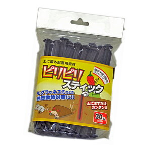 lY~⃂OȂǂɓyɊ҂QbpރssXeBbN30{