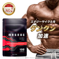シトルリン アルギニン 180粒 約1か月分 MAGNOS（ マグノス ） 亜鉛 マカ スッポン 厳選12成分 高配合 栄…