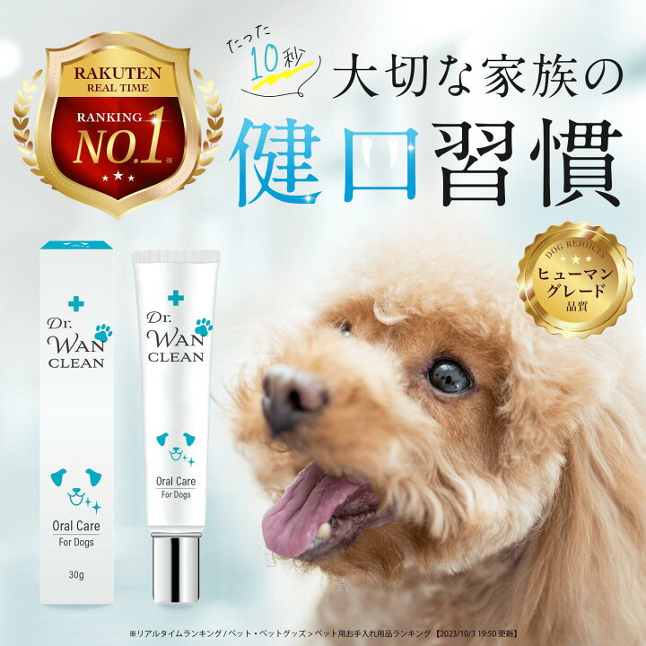 Dr. Dental Wan 歯磨き粉 4本セット 歯ブラシ（ドクターデンタルワンは 