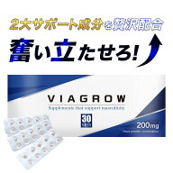 【医師監修】 シトルリン アルギニン VIAGROW 30粒 約1か月分 バイアグロウ 男性用 サプリメント サプリ …