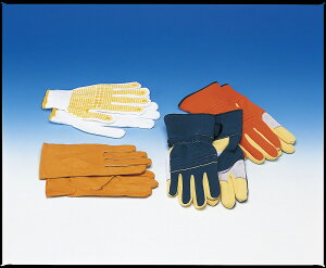 Pu[܁iؑnh~pj (IW) L