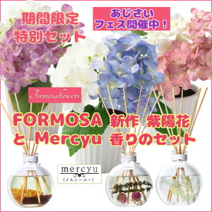 |CgUP zԃAW LEDCg  IV  D fBt[U[ Zbg  t[Cg  ̓ AWTC tHT AWt[ ZT[tLED FORMOSA M