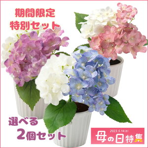 |CgUP zԃAW LEDCg 2Zbg  AWt[ ̓ AWTC tHT ZT[Cg LED FORMOSA oYj Mtg  v[g 2023MDSP