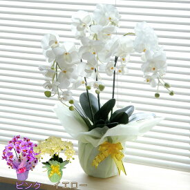 光触媒 胡蝶蘭 3本立 造花 フラワーアレンジメント 観葉植物 供花 EICO ピンク イエロー ホワイト ギフト フェイクグリーン