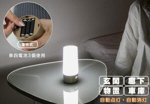 u ZT[Cg LED lZT[ Cg  Ɩ dr iCgCg ԐڏƖ _    zsv L
