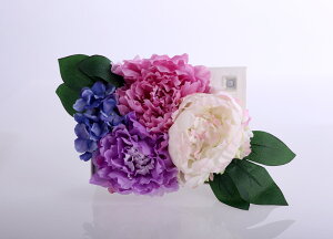 [x_[] FORMOSA sIj[{bNX AWt[ x_[ ZT[tLED X^ht u cu ݂艺