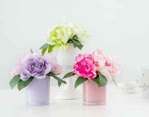 tsIj[OX FORMOSA FLOWERS ^C}[CgtHTt[Y sN x_[  