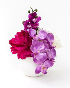 NX{E Formosaflowers ZT[t t[CgCg ̓ tHT AWt[ ZT[tLED Mtg  v[g