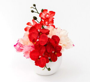 NX{E Formosaflowers ZT[t t[CgCg ̓ tHT AWt[ ZT[tLED Mtg  v[g