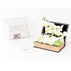 ubNAW Fiona  Mauve tBI[i Ah [ LEDCg  t[Cg{^Cg ̓ tHT AWt[ ZT[tLED FORMOSA Mtg  v[g