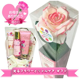 ̓ Mtg C{[[Y  N[k hD t[ g PA Zbg Formosa flowers FCg VOt[ o ֑} LEDCg [Y tHT nhN[ bv