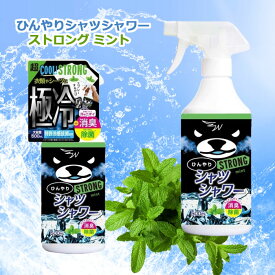 タイムセール ひんやりシャツシャワー ストロング ミント 【2025 ver 正規販売店】500ml 本体 冷却スプレー 衣類用 制汗剤 消臭 涼感 わきが 脇汗 デオドラント ときわ商会 2025summer