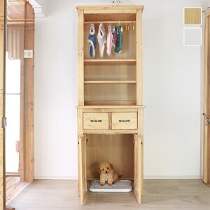 ybggC[@WR[\ 70×55×92cmyCeAYƁz