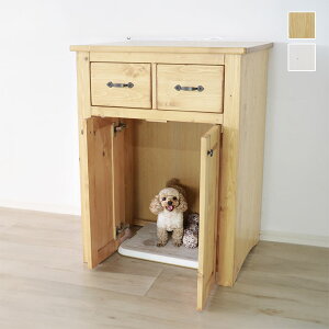 ybggC[Vt@WR[\ 70×55×195cmyCeAYƁz