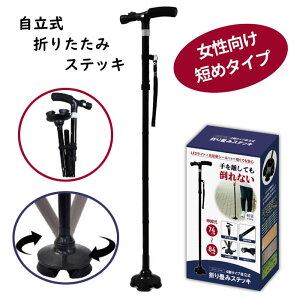 4r^Cv  ܂肽 XebL LEDCgt 5iK Lk 74cm ` 84cm y 380g