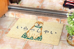 RC[ }bg VoCk EFJ }bg 60×40 O hA  }bg  x_   RRV@   x_