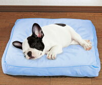 冷触感 ひんやりスクエアベッド 犬・猫・ペット用 クッション ベッド 接触冷感