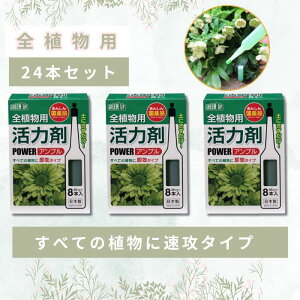 yRRicVbv X̂݃|Cg8{z͍(SAp)8{ 2Zbg ͍ t̔엿 t A t A͍  S _ _ ƒ؉ | K[fjO  ϗtA }