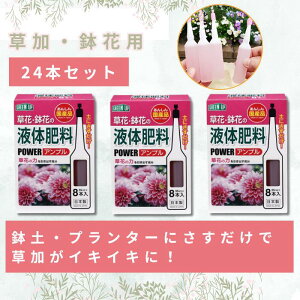 ͍(SAp)8{ 2Zbg ͍ t̔엿 t A t A͍  S _ _ ƒ؉ | K[fjO  ϗtA } } Av 엿Av {