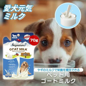 M~N  L S[g~N hbOt[h ybgp~Nph{⊮H DhbO~N Ɖu̓T|[g~N Sp~N Ysgp pi ybgpi p