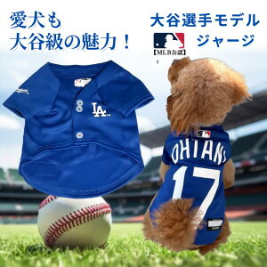 y9/25RRicVbvXSiP5{zyr[v[gtzMLB JI胂f ybg W[W ybgObY ybgpi ^p^p hbO t@bV EGA[ Ck y