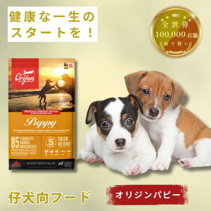 �y���K�i�z�I���W�� �p�s�[ �q���p 340g 2kg 6kg 11.4kg�h�b�O�t�[�h �S����Ή� ������ς� �O���C���t���[ ���������{�@���ʒ� �V�R�� �J�i�_�� ORIJEN Puppy