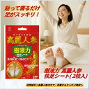 【12/10スーパーセール　ポイント10倍】足裏シート むくみ解消 フットケア 樹液シート 樹液力 高麗人参快足シート(2枚…