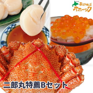 yEBzyz^e 250g ݖЂ т 400g`z Ε   ΕɃsb^ lߍ킹 Zbg  蕨 v[g CNO  Iz[cN ʌ
