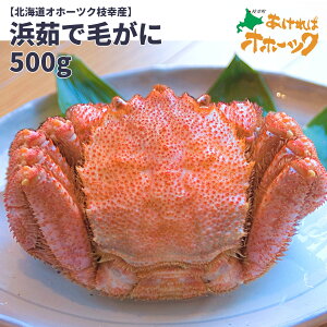 yl䥂Ŗт 500gz2025N t kCY Iz[cN }K уKj H׉Ղ500g ⓀցIуKj l䥂 񂹃O  Zbg Ε 蕨ɂ N ؂ 