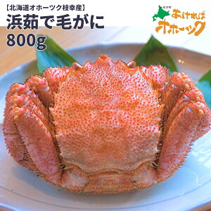 yl䥂Ŗт 800gz2025N t  kCY Iz[cN }K уKj H׉Ղ800g ⓀցIуKj l䥂 񂹃O  Zbg Ε 蕨ɂ N 