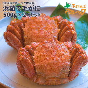 yl䥂Ŗт 500g×2z2025N t kCY Iz[cN }K уKj H׉Ղ500g 2Zbg ⓀցIуKj l䥂 񂹃O  Zbg Ε 蕨ɂ N