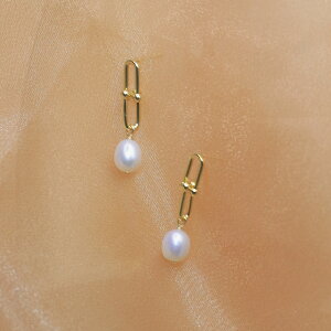 sAX AM[ Wp[ sAX hbvsAX Vv_fUC h Vv _  nhCh S[h i GKg i` fB[XANZ