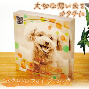 ANtHgubN ʐ^ tHgt[ ybg  L  vo A zo   { e  킢 Mtg  zo[r[ 