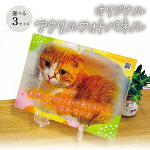 ANtHgpl ʐ^ tHgt[ ybg  L  vo A zo   { e  킢 Mtg  zo[r[ 