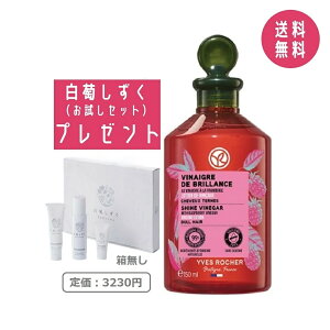 yZbgtzCVF Yves Rocher Yx[ VC wArlK[ 150ml c wAPA tX Yx[̍ 炳  g[gg dグp X 