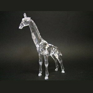 XtXL[ u 236717 쐶̉ L̐Ԃ H13cm