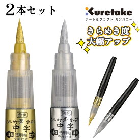 【全品ポイント10倍＋100％ポイントバック★7/26迄】くれ竹筆 金色 銀色 (ゴールド シルバー) 小ぶり 中字 2本セット 年賀状 クリスマスカード 手紙 イラスト 筆ペン DGS160-102S DGS160-101S
