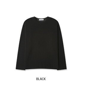 yzc[vy2planzBitter Summer See-through Long Sleeve / r^[T}[V[X[yVbvz