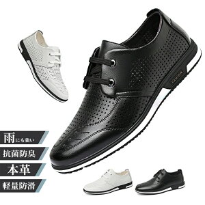  rWlXV[Y Y EH[LO L ɂ U[ vC amC YV[Y RC h\[   傫TCY 24~27cm rWlXV[Y YC j C r y