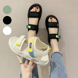 X|[cT_ T_ fB[X  3cm 22.5cm-25cm 3color 35-40 T_ fB[X  傫TCY ؂ tbg ₷  xN X|[c X|T 傫TC