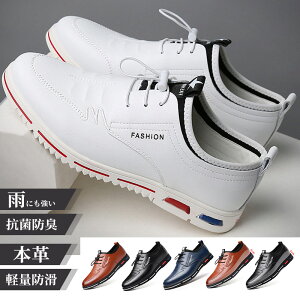 Xj[J[ Y fB[X   [JbgXj[J[ LoX JWAV[Y [XAbvV[Y VxbN ubN t@C[ x[W jZbNX ʋ ʊw 